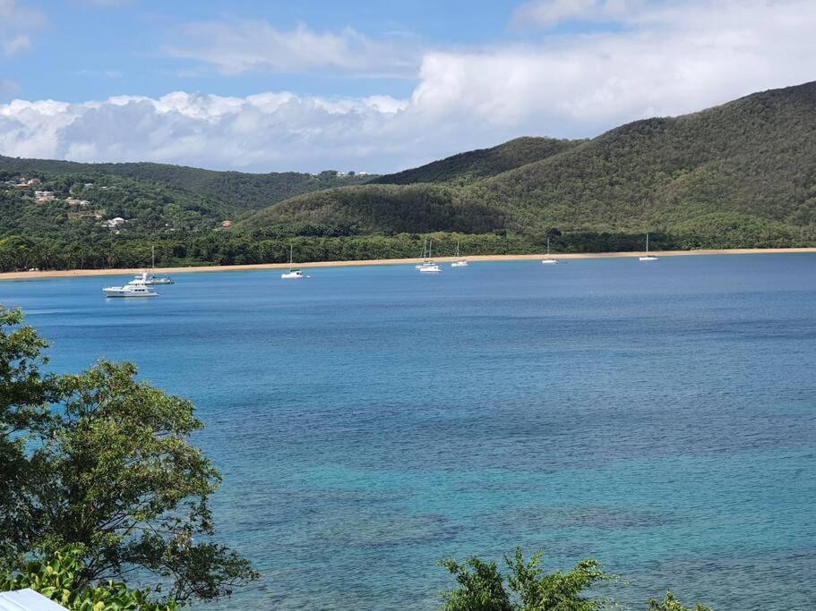 Vwe Moun Bay Daire Deshaies Dış mekan fotoğraf